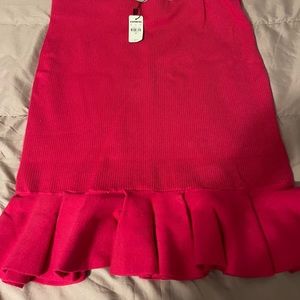 Express Flare Hot Pink Skirt